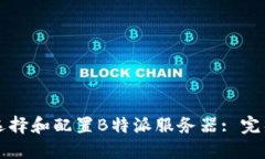 如何选择和配置B特派服务器: 完整指南