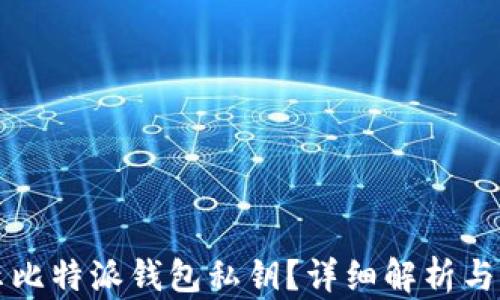 
如何显示比特派钱包私钥？详细解析与操作指南