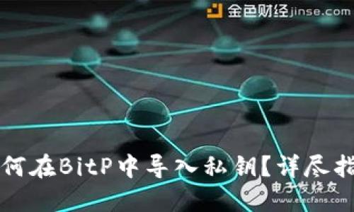 如何在BitP中导入私钥？详尽指南