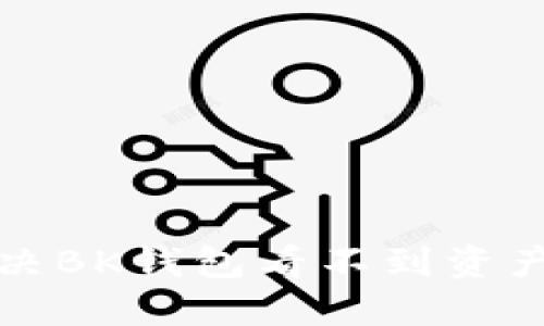 如何解决BK钱包看不到资产的问题